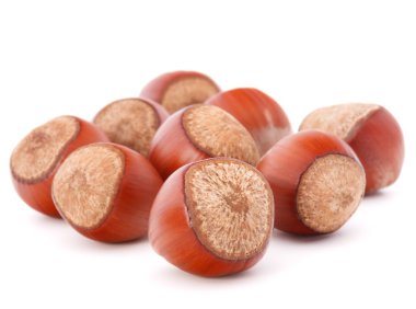 fındık