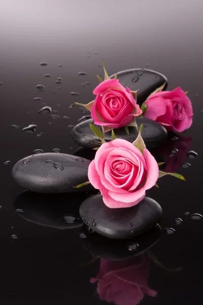 Spa stones and roses — Stock Photo, Image