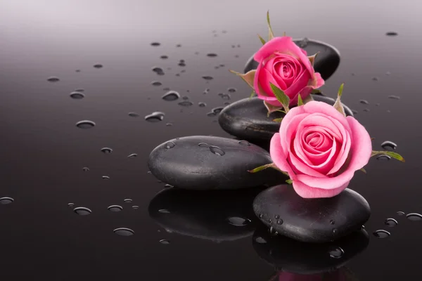Pedras de spa e rosas — Fotografia de Stock