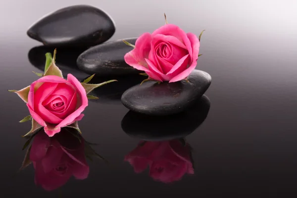 Spa stones and roses — Stock Photo, Image