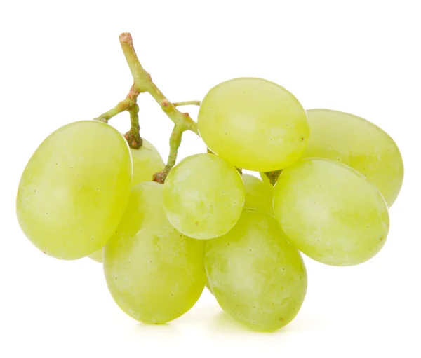 Zielony winogron kiść — Zdjęcie stockowe