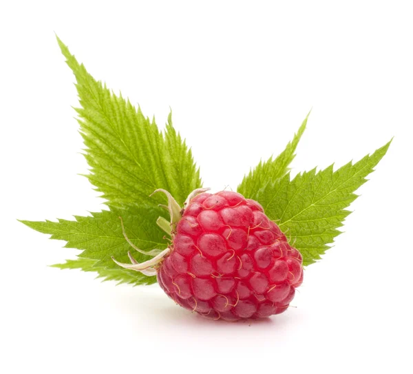 Sweet raspberry — Stock Photo, Image