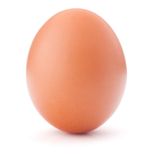 One Egg — Stock Photo, Image