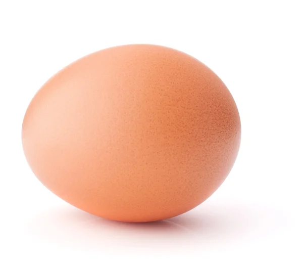 One Egg — Stock Photo, Image