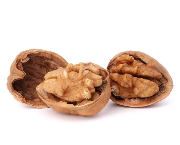 Walnut — Stock Photo, Image