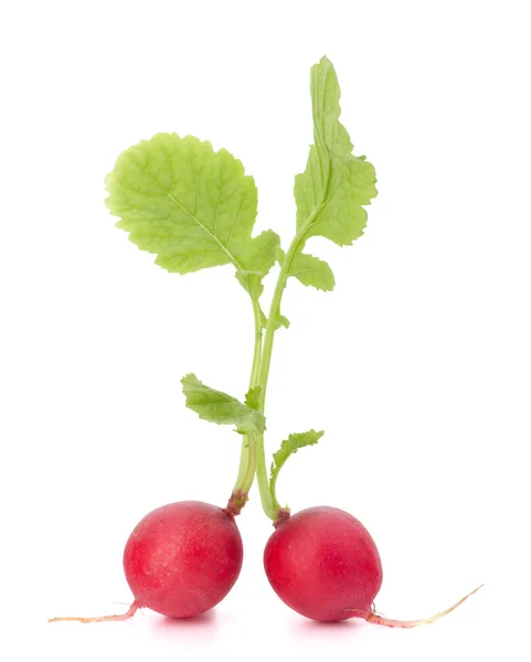 Garden radish — Stock Photo, Image