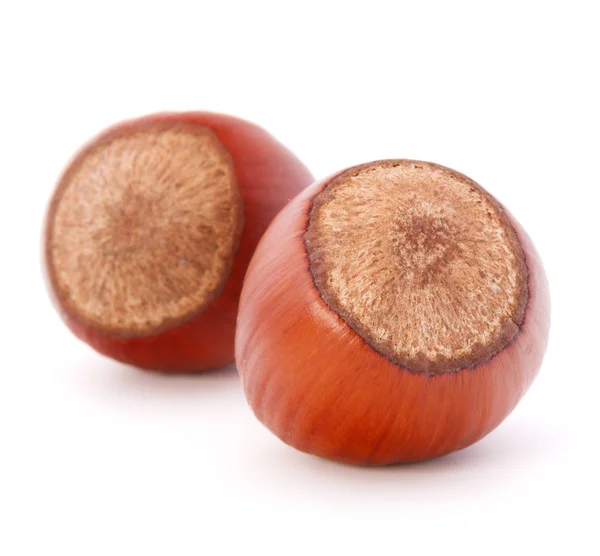 Hazelnuts — Stock Photo, Image