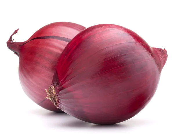 Красный лук луковицы — стоковое фото