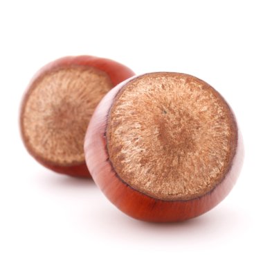 Beyaz arka plan üzerinde kesme izole fındık veya fındık ceviz 