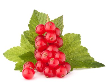 Kırmızı kuş üzümü ve yeşil yaprakları natürmort 