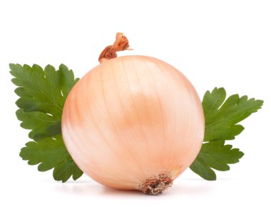 soğan sebze ampul ve maydanoz yaprakları natürmort 