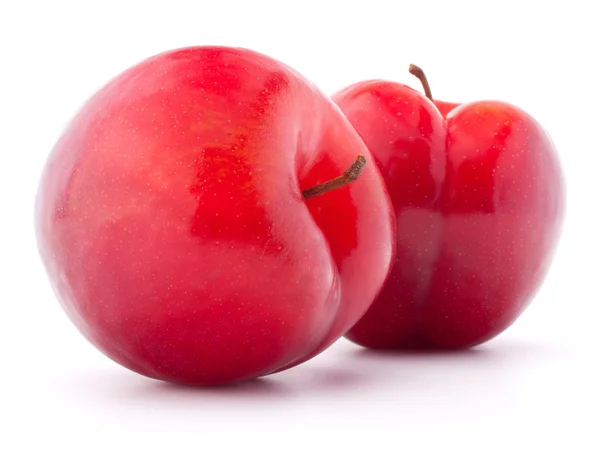 Sweet plum diisolasi pada potongan latar belakang putih — Stok Foto