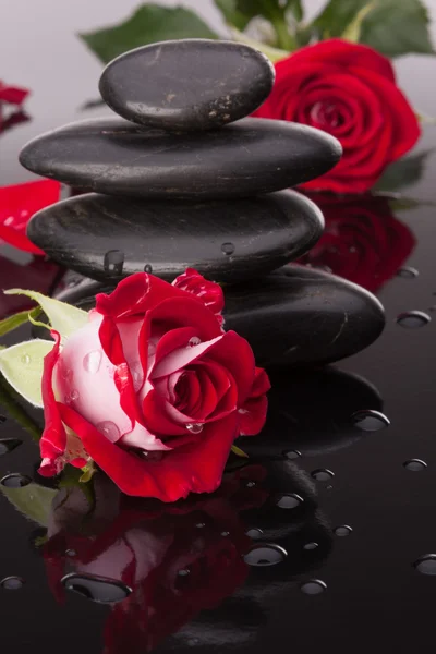 Spa stone and rose flowers still life — Stock Photo, Image