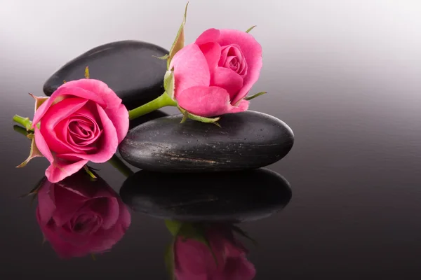 Pedra de spa e rosa flores ainda vida — Fotografia de Stock