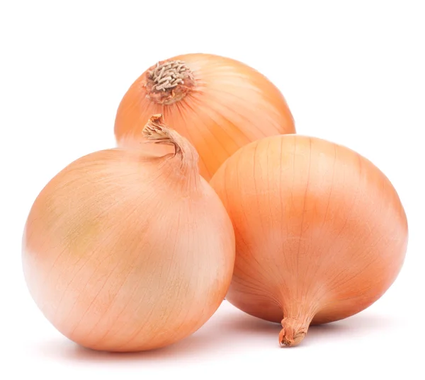 Gold onion vegetable bulbs — Stock Photo, Image