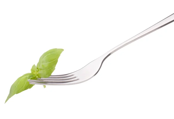 Färsk basilika blad på gaffel isolerad på vit bakgrund cutout — Stockfoto