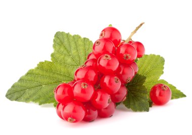 Kırmızı kuş üzümü ve yeşil yaprakları natürmort 