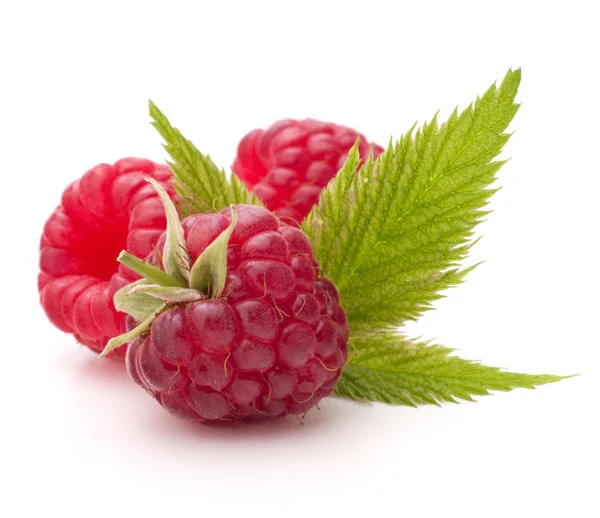 Sweet raspberry isolated on white background cutout — Stock Photo, Image