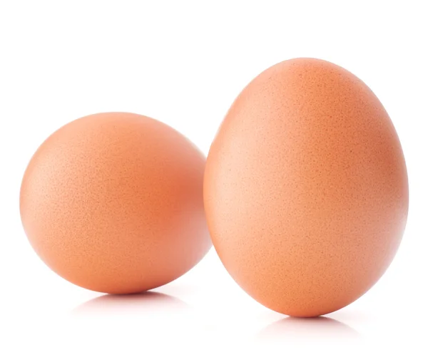 Ägg isolerad på vit bakgrund cutout — Stockfoto
