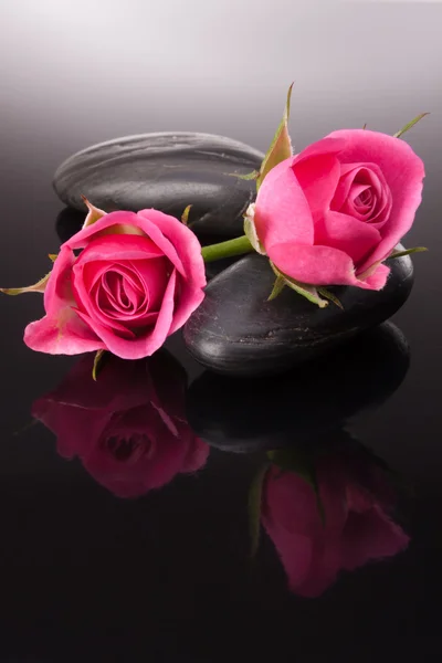 Pietra termale e fiori di rosa nature morte. Concetto sanitario . — Foto Stock
