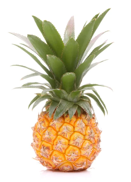 Pineapple tropical fruit or ananas — Stock Photo, Image