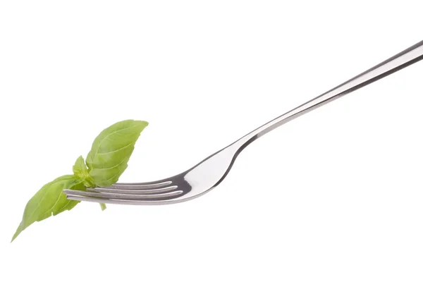 Fresh basil leaf  on fork — Stock Photo, Image
