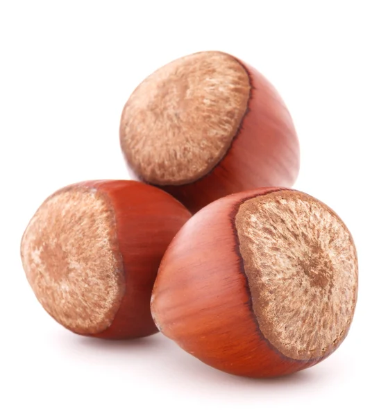 Hazelnut or filbert nut — Stock Photo, Image