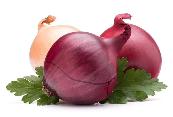 Onion  bulb and parsley leaves — Stock Photo, Image