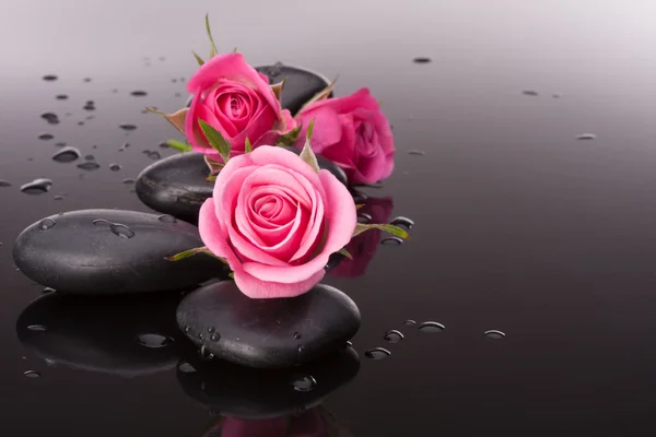 Spa stone and rose flowers — Stock Photo, Image