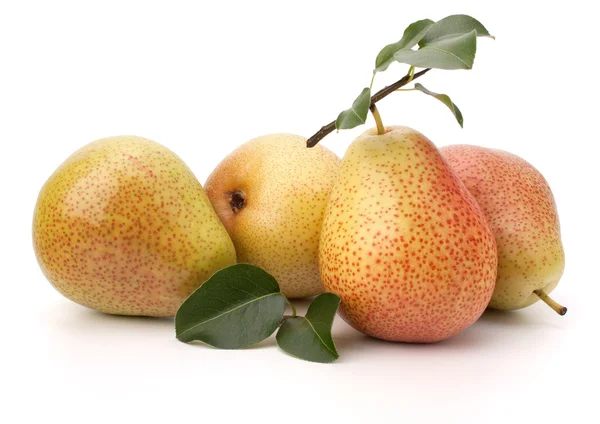 PEAR vruchten — Stockfoto