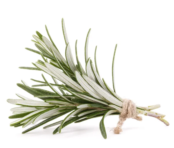 Rosemary herb spice leaves — Stock Photo, Image