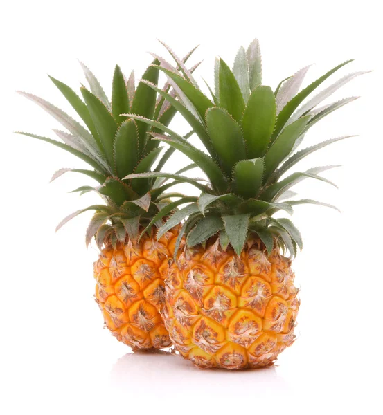 Abacaxi frutas tropicais ou ananas — Fotografia de Stock
