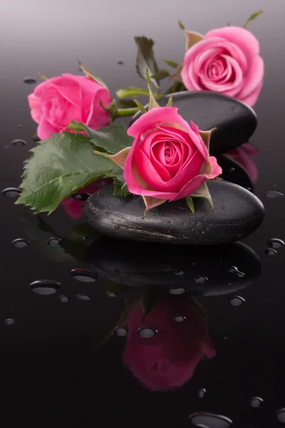 Spa sten och rosa blommor stilleben. — Stockfoto