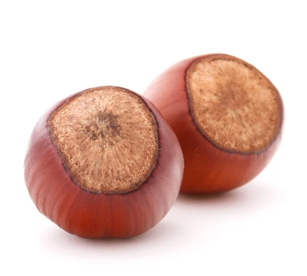 Hazelnut or filbert nut — Stock Photo, Image