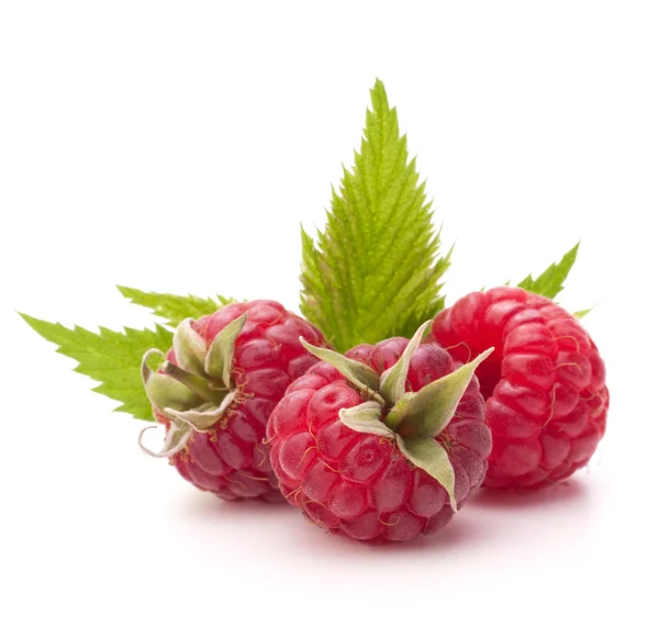 Sweet raspberry — Stock Photo, Image