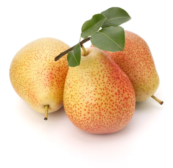 Pear fruits — Stock Photo, Image