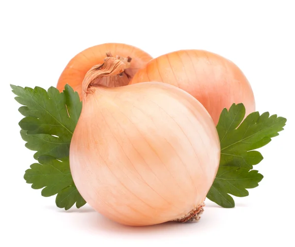 Onion vegetable bulb and parsley leaves still life — Stock Photo, Image