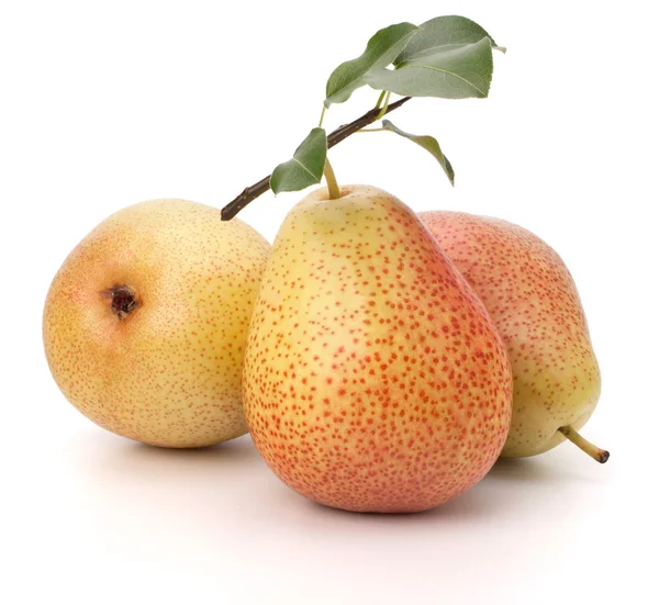 PEAR vruchten — Stockfoto