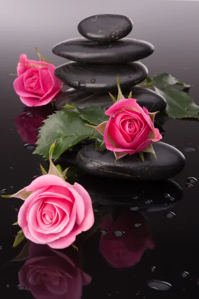Piedras de spa y rosas —  Fotos de Stock