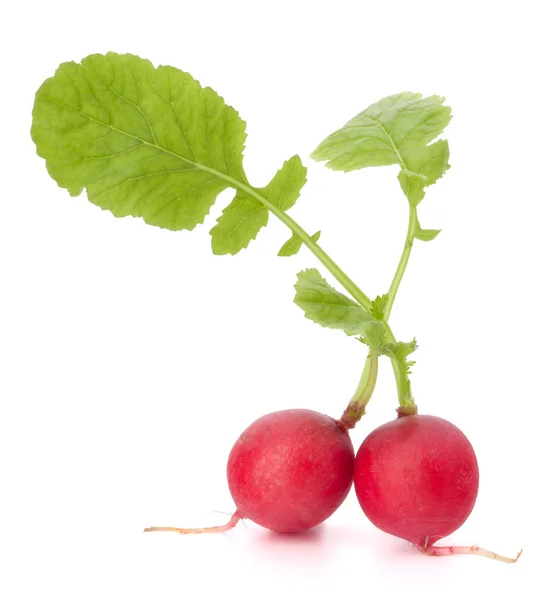 Radishes with leaves — Stock Photo, Image