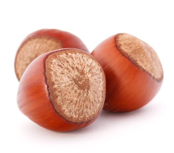 Hazelnuts — Stock Photo, Image