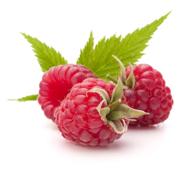 Süße Himbeeren — Stockfoto