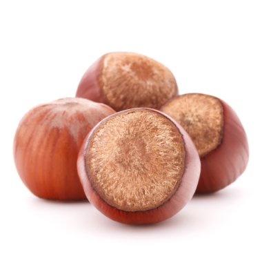 Beyaz arka plan üzerinde kesme izole fındık veya fındık ceviz 