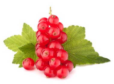 Kırmızı kuş üzümü ve yeşil yaprakları natürmort 