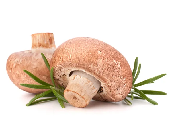 Braune Champignon-Pilze und Rosmarinblätter — Stockfoto