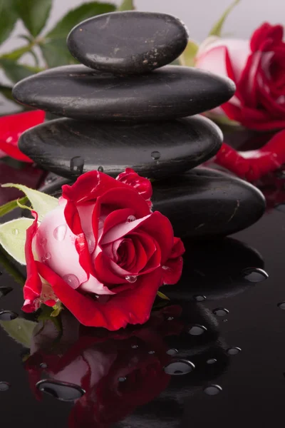 Spa stone and rose flowers — Stock Photo, Image