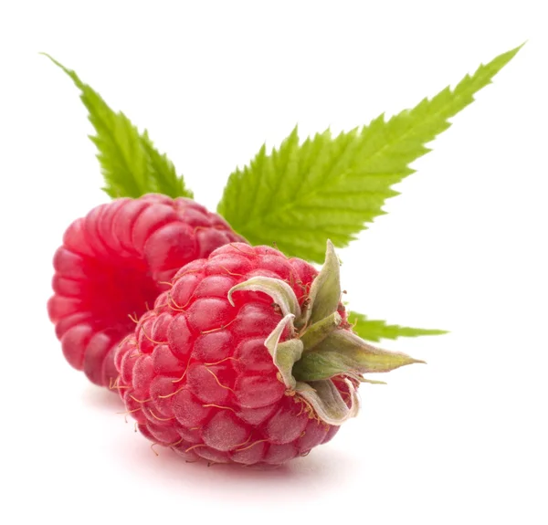 Sweet raspberry isolated on white background cutout — Stock Photo, Image