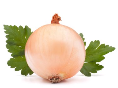 soğan sebze ampul ve maydanoz yaprakları natürmort 