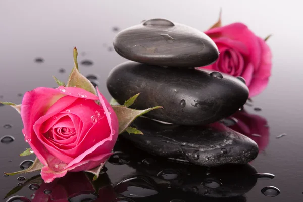 Σπα πέτρα και ροδαλά λουλούδια νεκρές φύσεις. υγειονομικής περίθαλψης έννοια. — Φωτογραφία Αρχείου