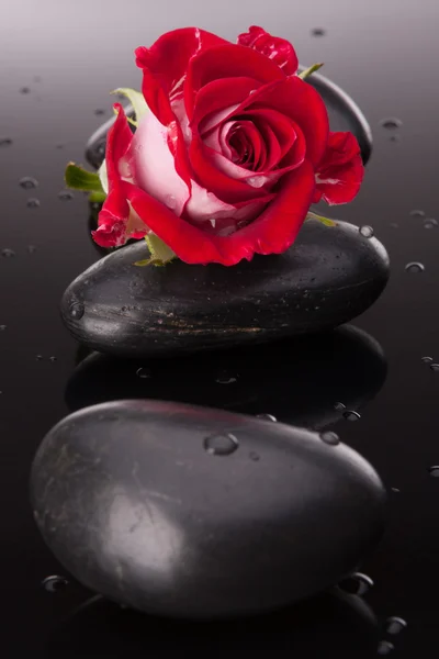 Spa stone and rose flowers still life. Healthcare concept. — Stock Photo, Image